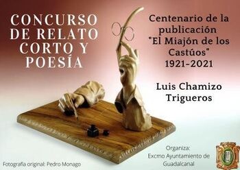 CONCURSO RELATO CORTO POESIA IES, ESCUELA ADULTOS Y PUBLICO GRAL web