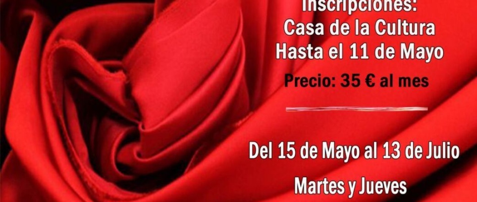 TRAJE FLAMNECA 2017.jpg