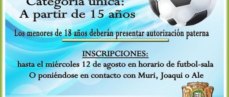 cartel futbol 7 2015.jpg